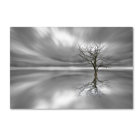 Leif Londal 'Ghost Tree' Canvas Art,30x47